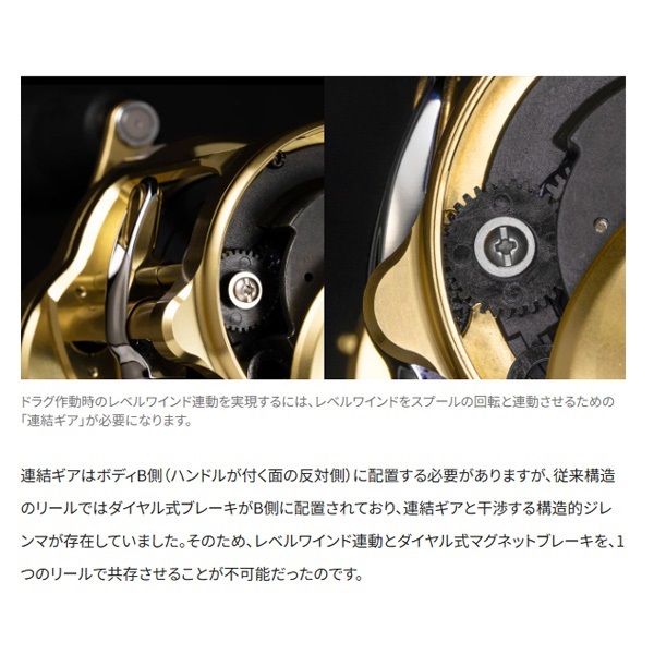 23カルカッタコンクエストMD